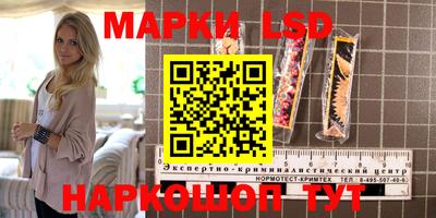 трава Новозыбков