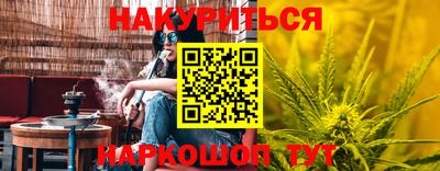 трава Новозыбков