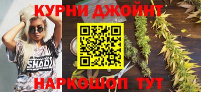трава Новозыбков