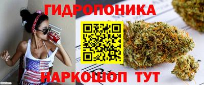 трава Новозыбков