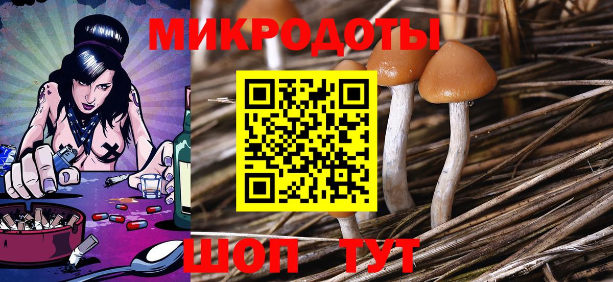 Галлюциногенные грибы мухоморы Ростов Великий